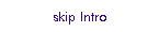 skip Intro